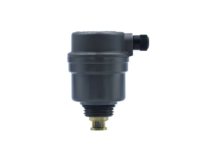 Filtered Automatic Brass Air Vent Valve